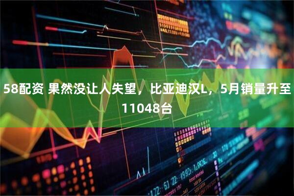58配资 果然没让人失望，比亚迪汉L，5月销量升至11048台
