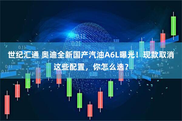 世纪汇通 奥迪全新国产汽油A6L曝光！现款取消这些配置，你怎么选？