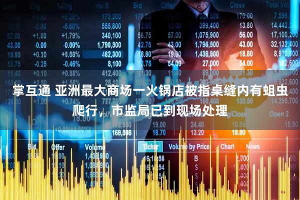 掌互通 亚洲最大商场一火锅店被指桌缝内有蛆虫爬行，市监局已到现场处理