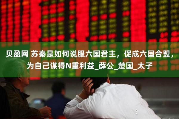 贝盈网 苏秦是如何说服六国君主，促成六国合盟，为自己谋得N重利益_薛公_楚国_太子