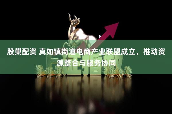 股巢配资 真如镇街道电商产业联盟成立，推动资源整合与服务协同