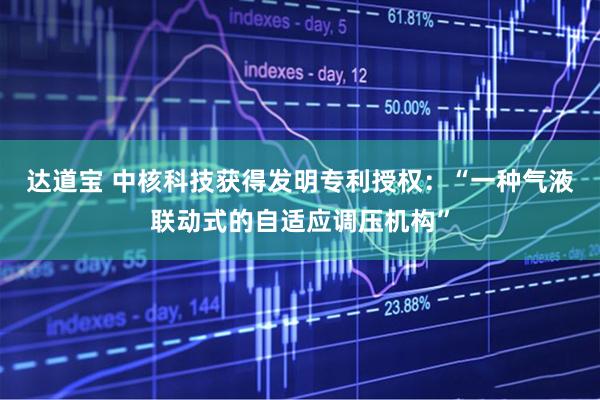 达道宝 中核科技获得发明专利授权：“一种气液联动式的自适应调压机构”