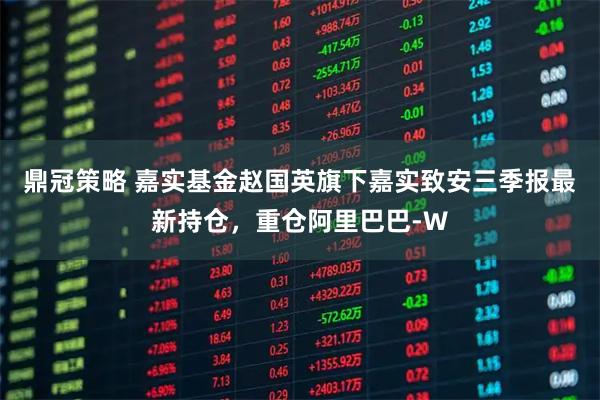 鼎冠策略 嘉实基金赵国英旗下嘉实致安三季报最新持仓，重仓阿里巴巴-W